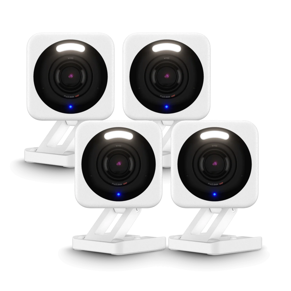Small Business Monitoring Basic